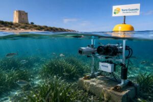 A Torre Guaceto telecamere subacquee e intelligenza artificiale monitorano la biodiversità marina